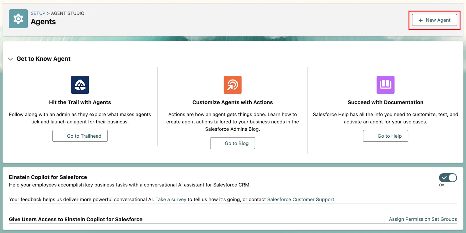 AgentForce Setup: A Complete Step-by-Step Guide