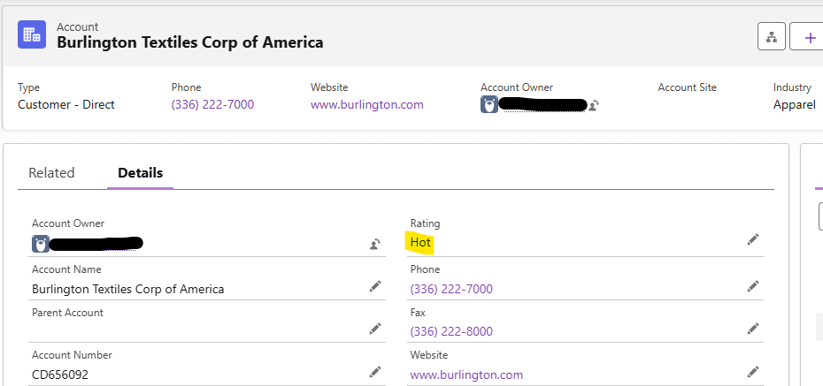 Introduction to Batch Apex and Scheduled Jobs in Salesforce 2 example of the Account after the job runs