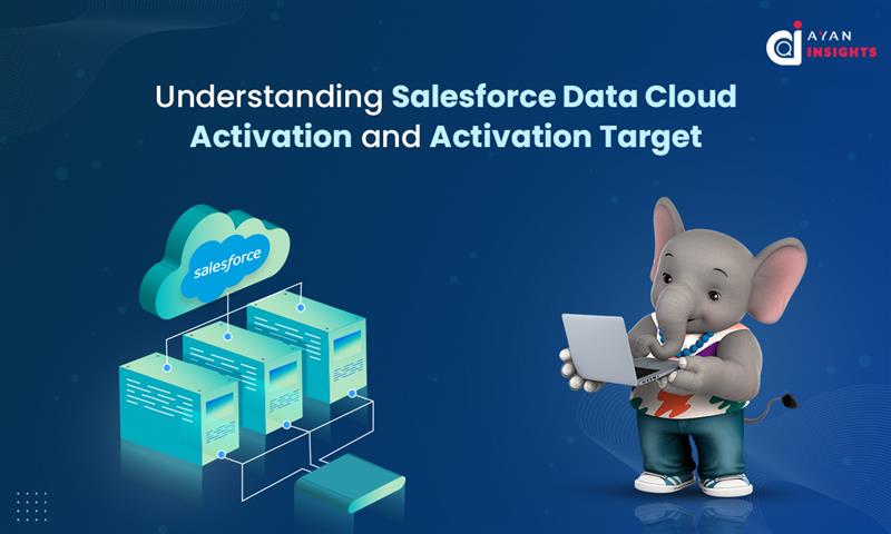 Understanding Salesforce Data Cloud Activation and Activation Target