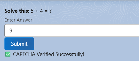 How Custom CAPTCHA Enhances Security in Salesforce Environments 1 3a