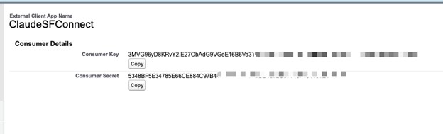 Connecting Claude with Salesforce Hosted MCP Servers: A Headless Approach to CRM 6 Picture7 5