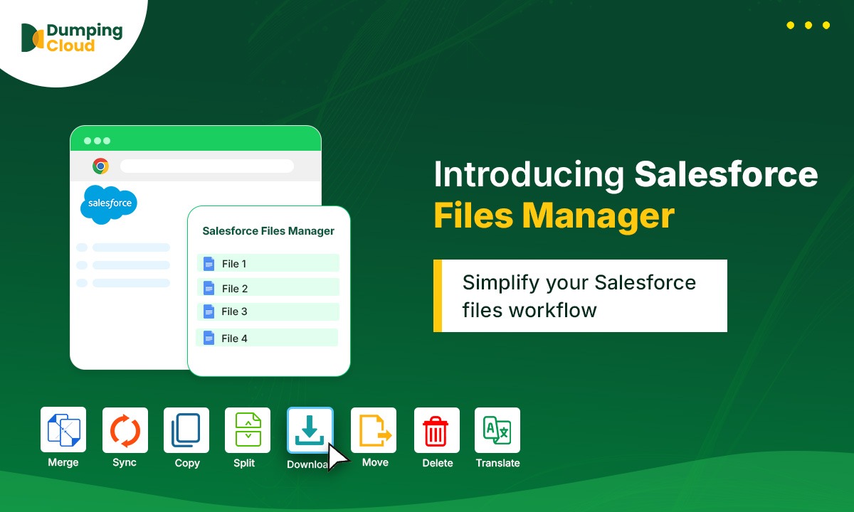 Salesforce Files Manager – Introduction